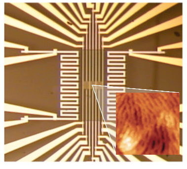 test device